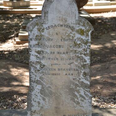 ZYL Sarel Jacobus, van 1850-1906