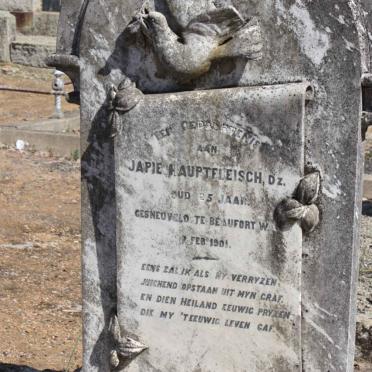 HAUPTFLEISCH Japie -1901
