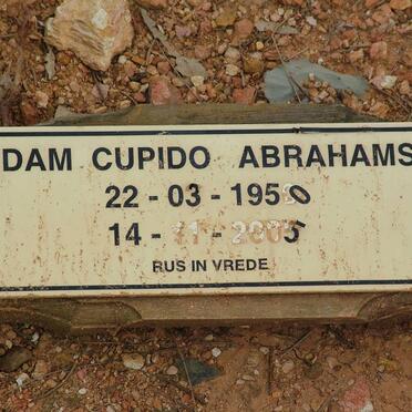 ABRAHAMS Adam Cupido 1950-2005