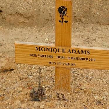 ADAMS Monique 2006-2010