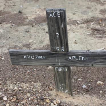 APLENI Avuzwa -2005