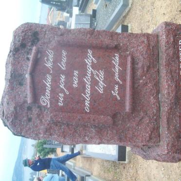 BESTER Cornelis 1964-1989