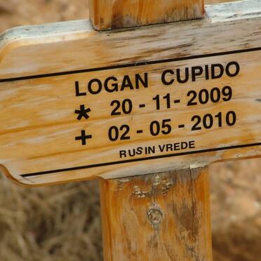 CUPIDO Logan 2009-2010