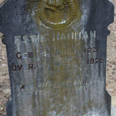 HAMMAN Estie 1923-1925