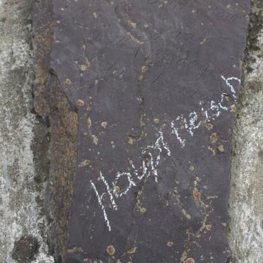 HAUPTFLEISCH