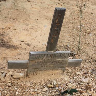 JOUBERT Wellington -1969