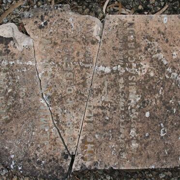 LOUW Jemima nee v.d. BERG -1911