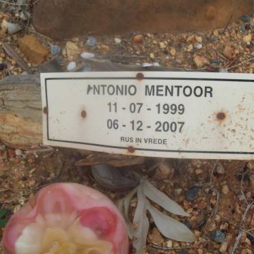 MENTOOR Antonio 1999-2007