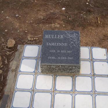MULLER Tamlynne 2003-2005