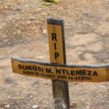 NTLEMEZA Bukosi M. 1967-2006