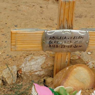 PELEM Abulela 2010-2010