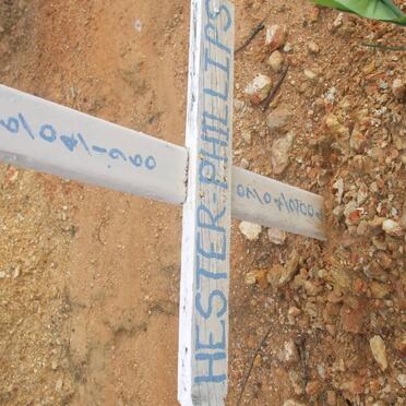 PHILLIPS Hester 1960-2004