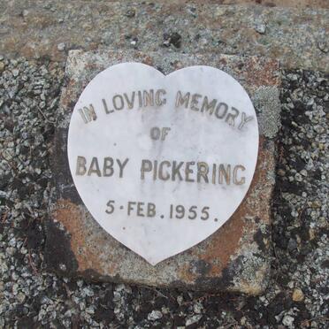 PICKERING  Baby-1955