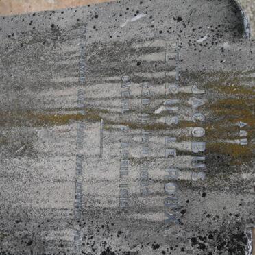 ROUX Jacobus Petrus, le 1837-1915