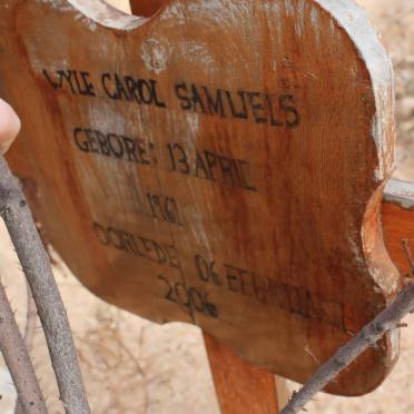 SAMUEL Carol 1961-2006