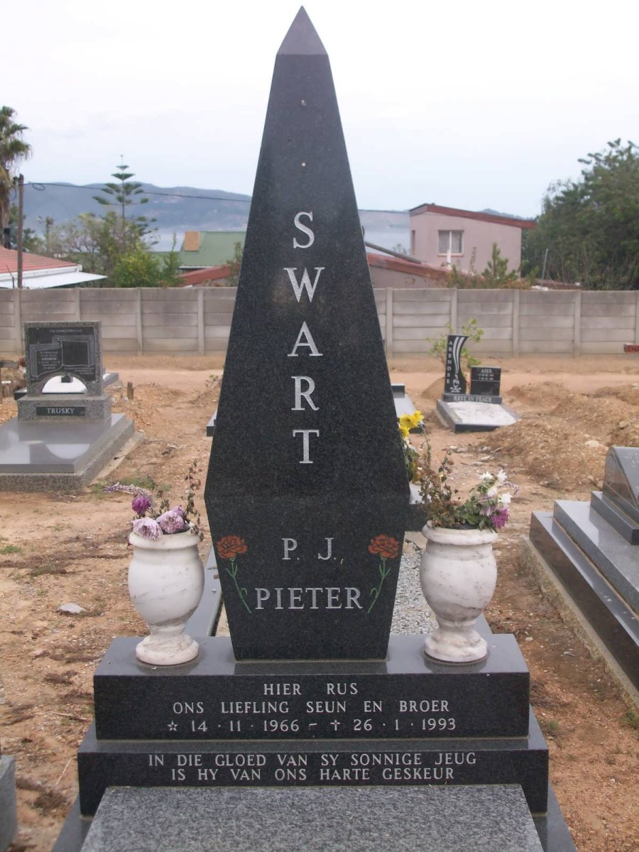 SWART P.J. 1966-1993