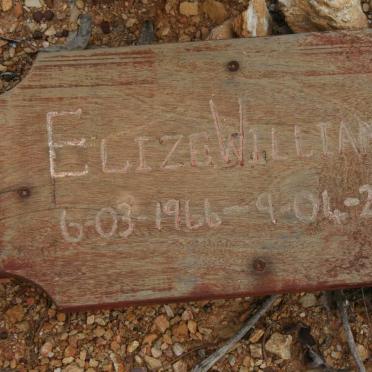WILLIAMS Elize 1966-2003