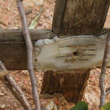 WILLIAMS Hannelie 1988-2003