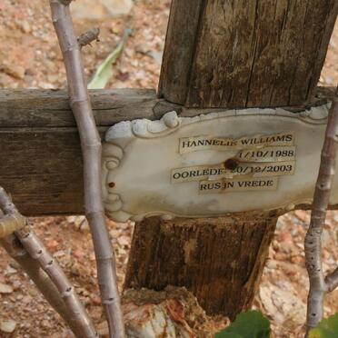 WILLIAMS Hannelie 1988-2003