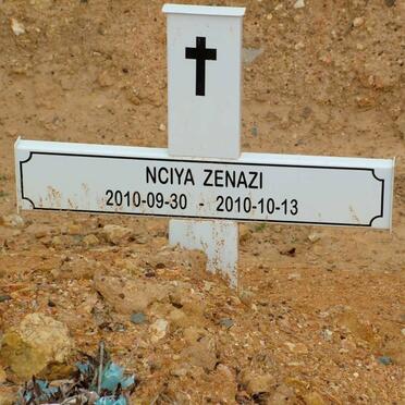 ZENAZI Nciya 2010-2010