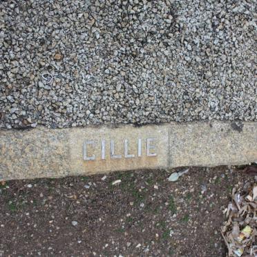 ? CILLIE