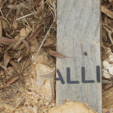 ? Alli
