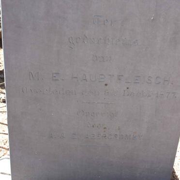 HAUBTFLEISCH M.E. -1877