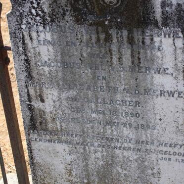 MERWE Jacobus Nel, v.d. 1890-1893