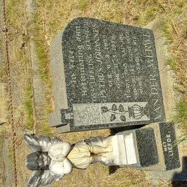 MERWE Petrus Johannes, van der 1955-1956