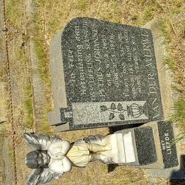 MERWE Petrus Johannes, van der 1955-1956