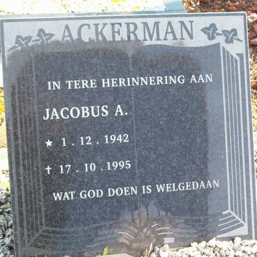 ACKERMAN Jacobus A. 1942-1995