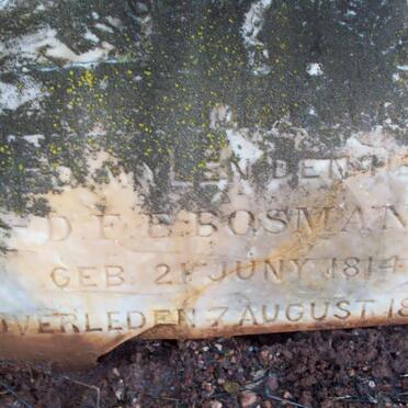 BOSMAN D.F.E. 1814-1889