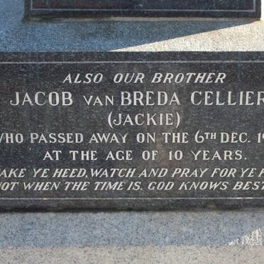 CELLIERS Jacob van Breda -1932