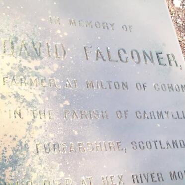 FALCONER David -1883