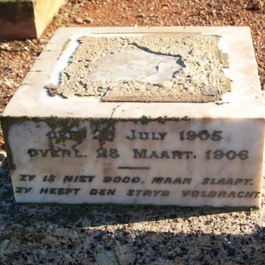 PREISS Helena 1905-1906