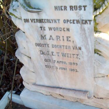 WEITZ Marie 1889-1903