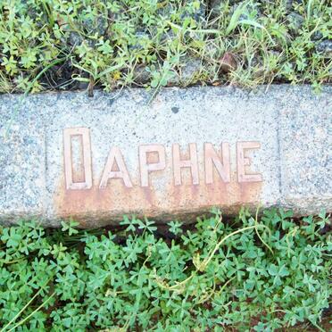 ? Daphne