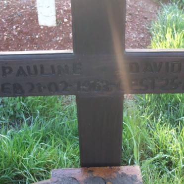 DAVIDS Pauline 1963-2001