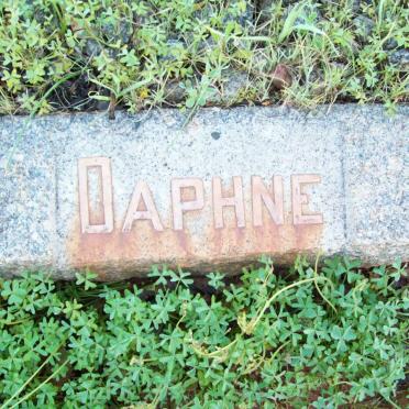 ? Daphne