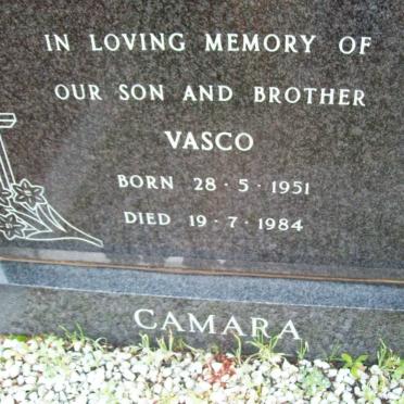 CAMARA Vasco 1951-1984