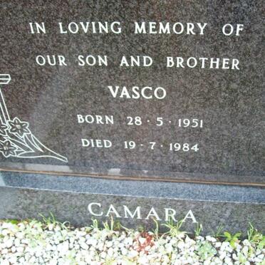 CAMARA Vasco 1951-1984