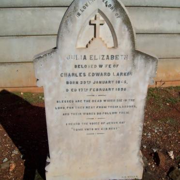 LARKIN Julia Elizabeth 1865-1890