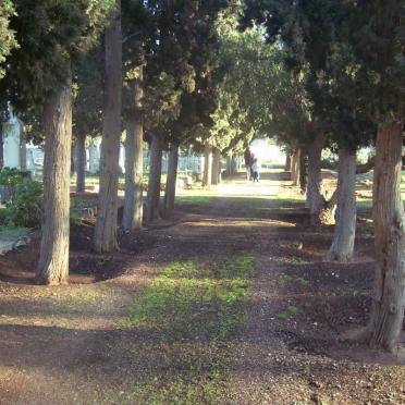 2. Overview
