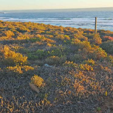 Western Cape, DORINGBAAI, Bruinpunt, State Land, cemetery