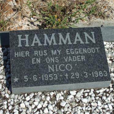 HAMMAN Nico 1953-1983