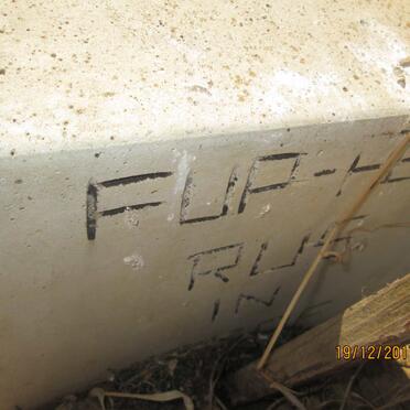 ? Flip Heyn