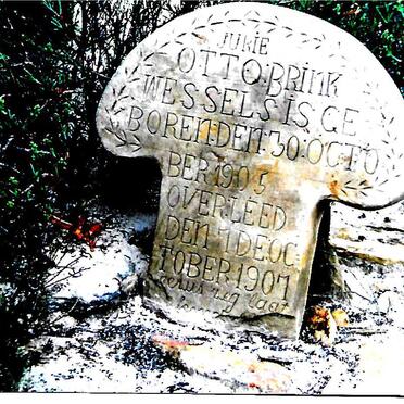 Western Cape, RIVERSDALE district, Phisante Fontein 46, Phesantefontein, farm cemetery