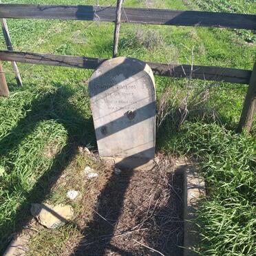 Western Cape, RIVERSDALE district, Brakke fontein 399_6, farm cemetery