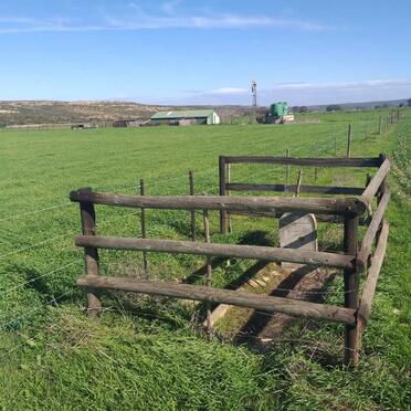 1. Overview / Oorsig