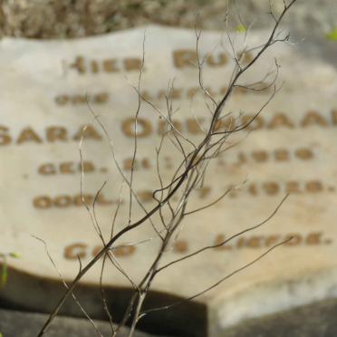 ODENDAAL Sara 1926-1926
